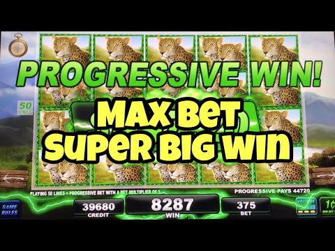 ***BIG 5 SAFARI PROGRESSIVE JACKPOT*** MAX BET SUPER BIG WIN | Wonder Wizard | Golden Century Bonus