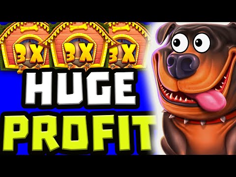 THE DOG HOUSE MEGAWAYS 🐶 SLOT HUGE BIG WINS 🔥 €20 MAX BET BONUS HUNT OPENING OMG‼️