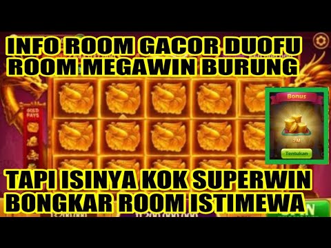 INFO ROOM DUOFU DUOCAI HARI INI | ROOM MEGAWIN BURUNG | ISI NYA MALAH SUPERWIM FULL BURUNG