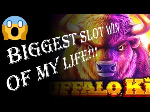 BIGGEST SLOT WIN OF MY LIFE!!! 😱 (roobet)