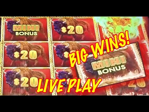 BIG WINS: High Limit Buffalo Link and Super Reel Em In Slots!