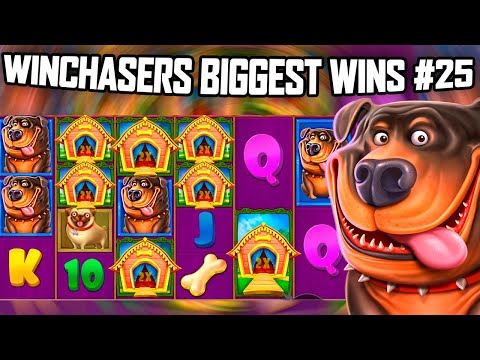 *MASSIVE WIN* DOG HOUSE MEGAWAYS  – Community Biggest Wins #25