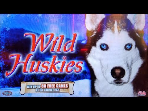 TOO MANY FREE GAMES!  BIG WIN on WILD HUSKIES + MORE CHILLI SLOT MACHINE POKIES BONUSES!