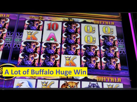 Buffalo Wonder 4 Boost $$$ Huge Win