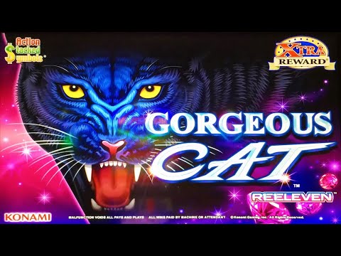 TONS OF MEGA MASSIVE JACKPOT WINS ON GORGEOUS CAT A REAL SLOT MACHINE JACKPOT