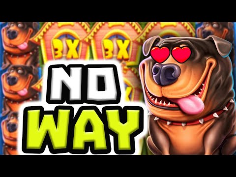 I BROKE THE DOG HOUSE MEGAWAYS 🐶 OMG‼️ *** ULTRA BIG WINS ***