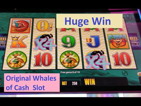 Huge Win!! Original Whales Of Cash Slot by Aristocrat