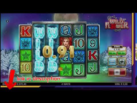 Mega win casino cash out Layne Palacios Slot play youtube