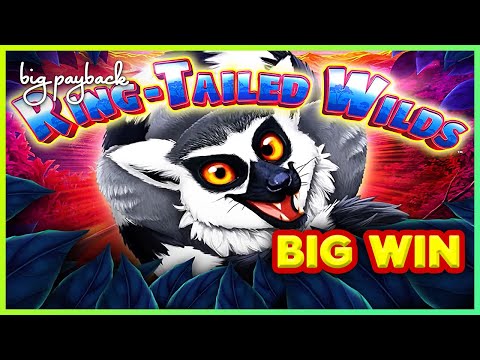 Ring-Tailed Wilds Slot – BIG WIN FEATURE, LOVED IT!