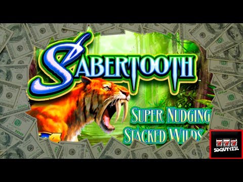 Sabertooth Slot Machine Bonus – Mega Big Win!!!