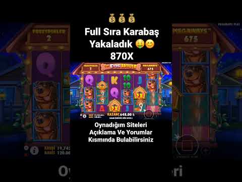 DogHouse l #shorts #slotvideoları #slot #casino #pragmaticplay #slotizle #bigwin