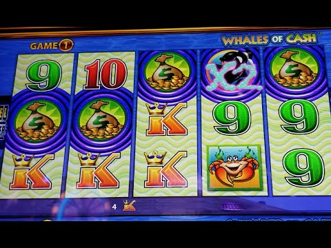 Whales Of Cash Huge Win!!! Wonder 4 Boost Slot