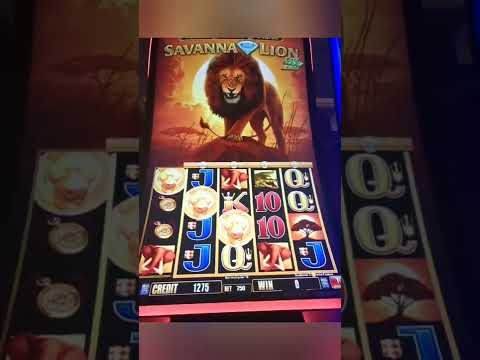 #Big Win On SAVANNA LION SLOT MACHINE# Free Game Session