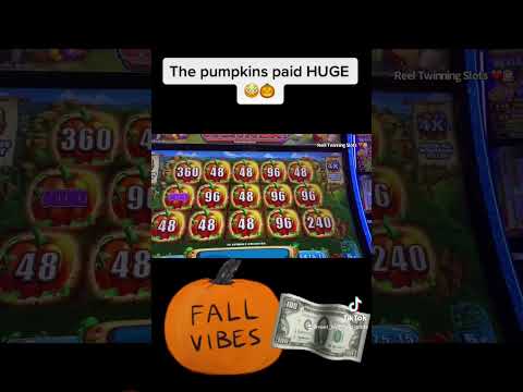 HUGE PUMPKIN PAYDAY #shorts #shortsvideo #shortsfeed