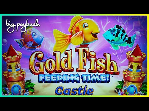 Ready for a BIG Win RETRIGGER? It’s the NEW Gold Fish Slot!