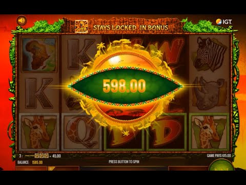 Super Big Win in The Wild Life Slot!