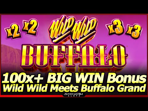 Wild Wild Buffalo Slot Machine – NEW Slot!  100X+ BIG WIN Redemption Bonus thanks to Konami, LOL!