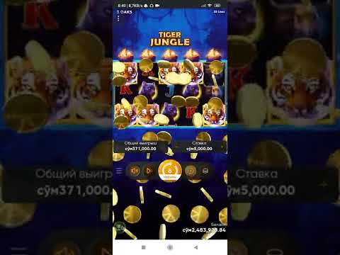 Boongo: Slot TIGER JUNGLE Mega Win