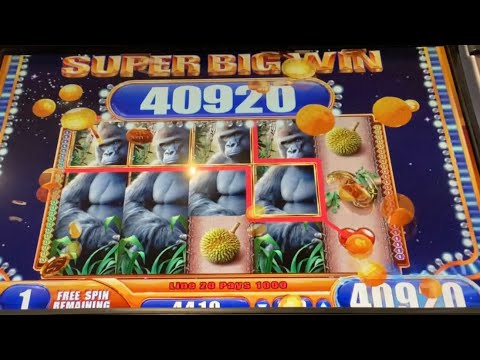 QUEEN OF THE WILD SLOT! THE GREAT CHASE: SUPER AFTER SUPER!!! MULTIPLE SUPER BIG WINS