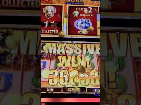 Nate B Vultures David’s Machine!! Oops sorry…NOT sorry!! BIG WIN!! 🤑🤑🤑 #ballys #shorts #slot