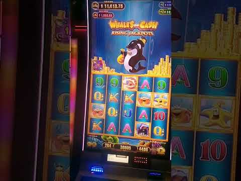 Biggest Win in History for Whale of Cash Slot Machine #casino #shorts