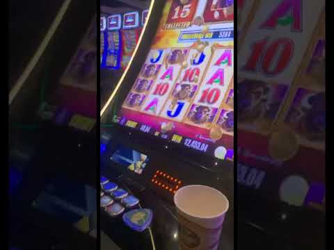 MASSIVE JACKPOT! * MY BIGGEST WIN $$BUFFALO GOLD | Slot $$$$#Toronto @Pickering Casino Resort