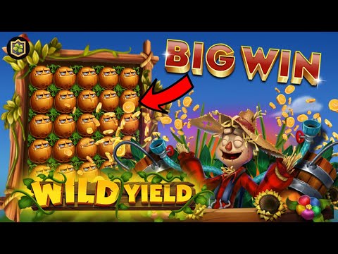 BIG WIN NEW ONLINE SLOT 🔥 WILD YIELD 🔥 RELAX GAMING – ALL FEATURES