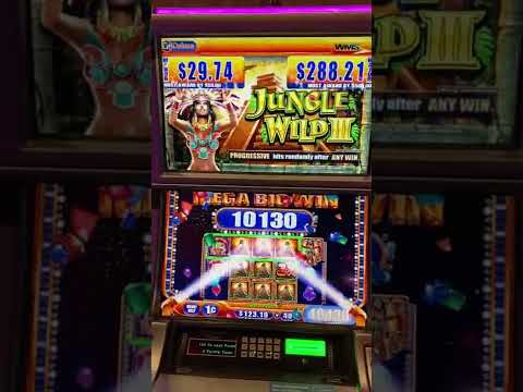 Mega big win jungle wild 3 slot