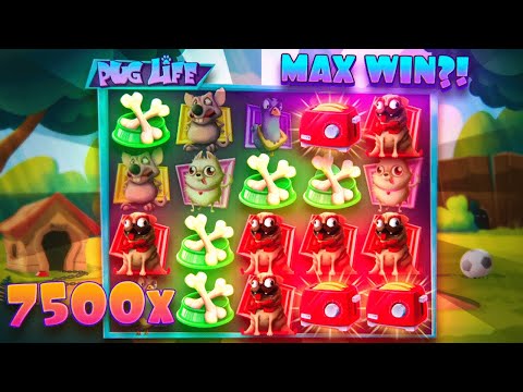 I HIT MAX WIN ON PUG LIFE?!? *NEW HACKSAW GAMING SLOT*