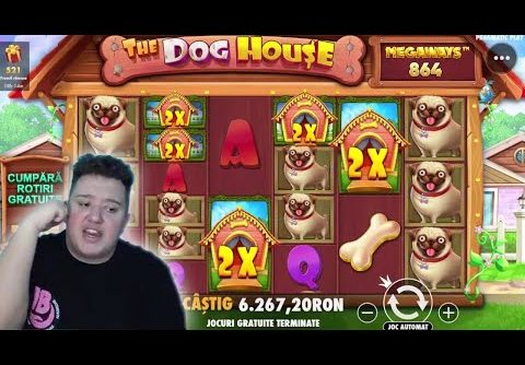 🤑HUGE WIN 🐶DOG HOUSE MEGAWAYS 🤑SUPER BIG WIN