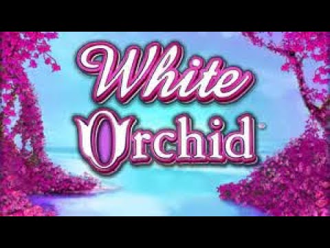 White Orchid Slots Machine – Big Win