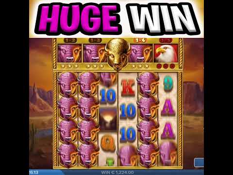 U MUST SEE THIS 😱 SUPER  BIG WIN 🔥 BUFFALO TORO SLOT OMG‼️ #shorts