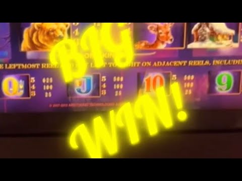 Timberwolf Deluxe BIG WIN! Slot Machine