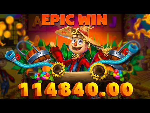 NEW RECORD BREAKING BIG WIN 🤑 WILD YIELD SLOT OMG‼️