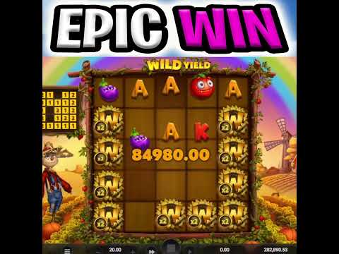 WILD YIELD SLOT RECORD BIG WIN 🔥 OMG SO MANY WILDS ON THE BONUS‼️ #shorts