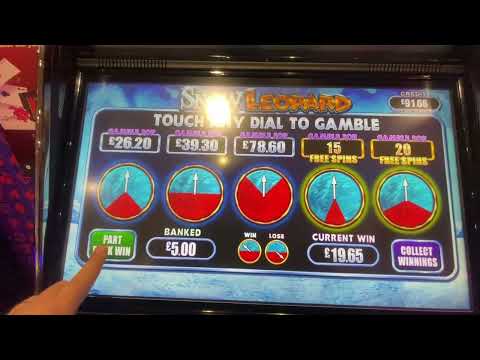 ** Bookies Slots Big Win ** Playing SNOW LEOPARD !!