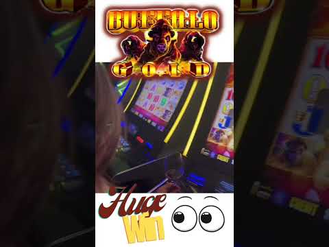 Huge Win!! Buffalo Gold Slot #casino #shorts #slots