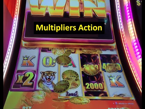 Huge Win!! Wild Wild Buffalo Slot! Aristocrat