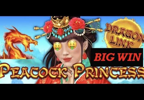 DRAGON LINK PEACOCK PRINCESS 🤑 BIG WIN 🤑 POKIE WINS SLOT MACHINE