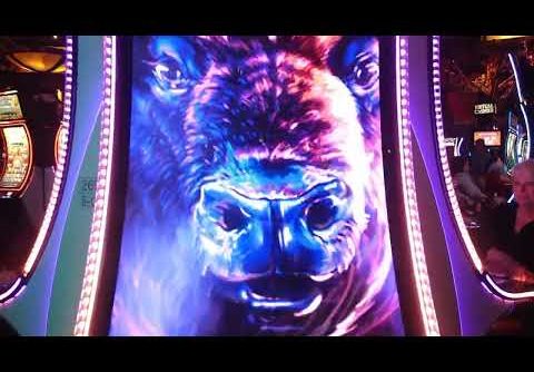 OMG!! Finally got the SUPER STAMPEDE on new Buffalo Ascension slot machine – check out this huge win